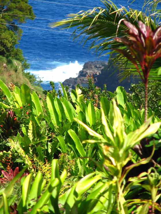 esk vlajka na Maui